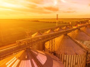 The future of food security